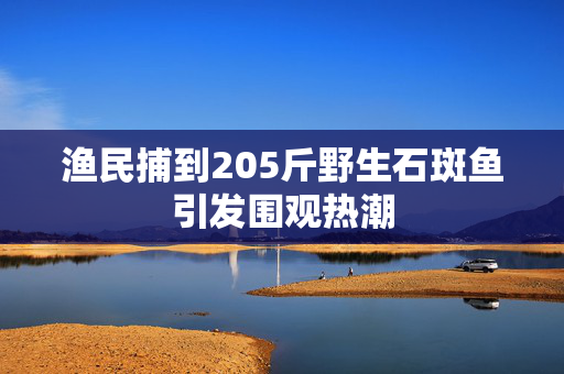 渔民捕到205斤野生石斑鱼引发围观热潮