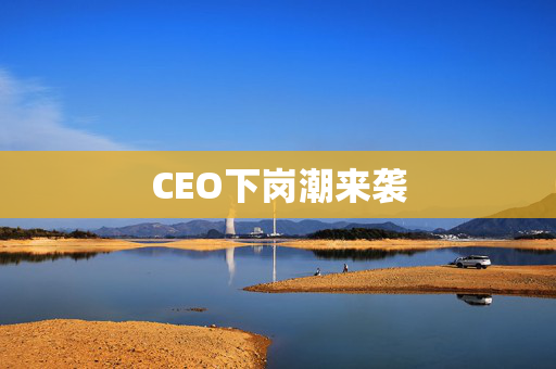 CEO下岗潮来袭